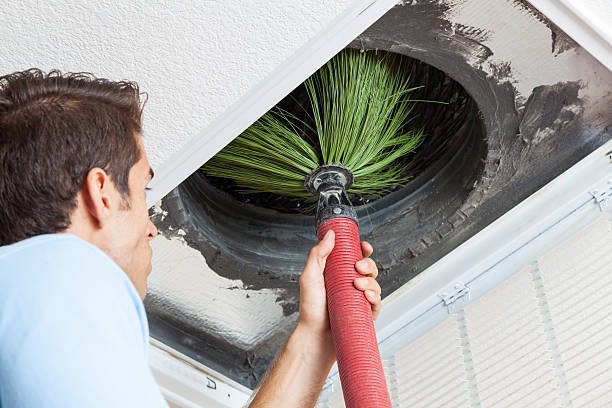 Best Mold and Mildew Removal from Ducts in Florence Graham, CA